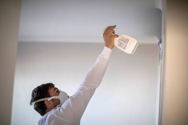 Best Black Mold Remediation in West Liberty, WV