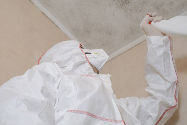Best Crawl Space Mold Remediation in West Liberty, WV