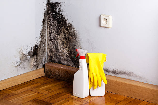 West Liberty, WV Mold Remediation Company